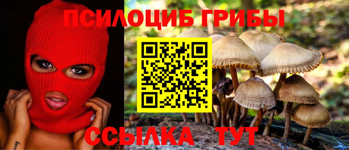 Шатура  Галлюциногенные грибы прущие грибы  Галлюциногенные грибы Magic Shrooms  Вход с VPN 